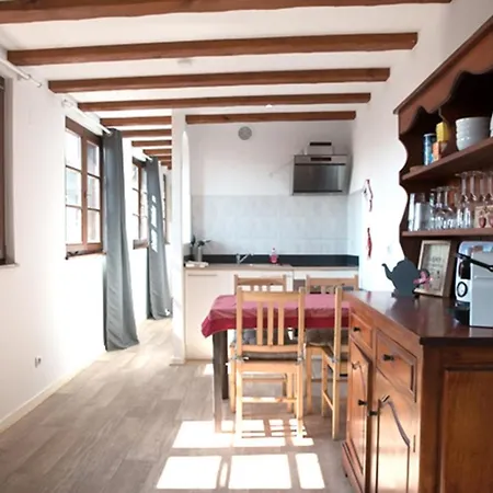 Travel Homes - Tanneur 7, Just Next To Little Venice * Colmar