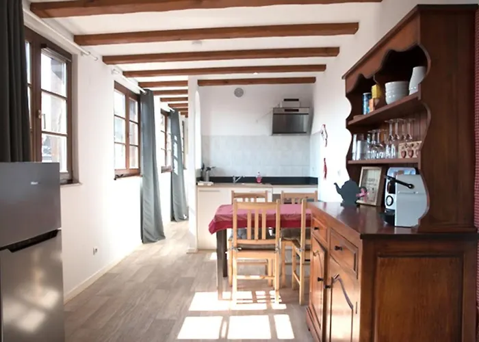 Travel Homes - Tanneur 7, Just Next To Little Venice * Colmar