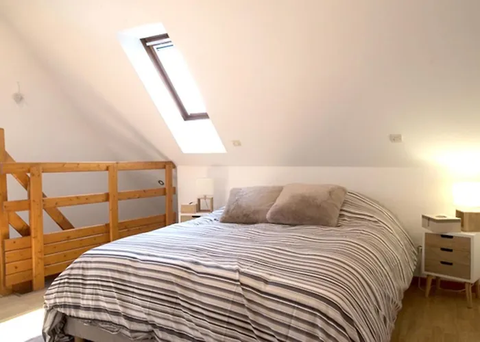 Apartment Travel Homes - Tanneur 7, Just Next To Little Venice Colmar